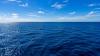Unexpected discovery at the bottom of the sea: “Just amazing…”