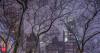 New York weather today: NYC could get soaked by more than 4 inches of rain as ‘unusually powerful’ summer storm puts New York on flash flood alert