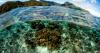 Trump Administration Moves to Open American Samoa’s Waters to Deep-Sea Mining