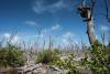 Covering Saltwater Intrusion