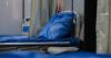 Taiwan reports first Japanese encephalitis death of the year