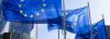 Implementing the EU Due Diligence Directive: the real cost of low ambition are human rights abuses
