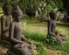 Love and Zen