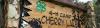 Media Alert: Camp Cherry Lake groundbreaking celebration marks next chapter for Florida 4-H  