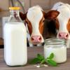 Milk’s Nutritional Profile Changes With Production Methods and Seasons