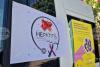 Viral Hepatitis Deaths in EU Halved in 10 Years