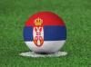 Belgian Frank De Bleeckere named new president of Serbian FA's refereeing commission
