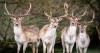 KALW Almanac - Tuesday July 28, 2026