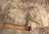 1.4 Million-year-old footprints reveal human ancestor: Paranthropus boisei