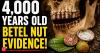 Scientists unlocked a 4,000-year-old secret inside ancient human teeth. A woman’s clean smile in Thailand revealed surprising chemical proof of early betel nut chew habits