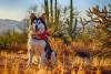 My Arizona dog caught valley fever. Yours probably will, too