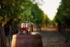 A New Woman-Owned Company Wants You To Experience Wine Like A Local