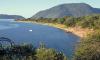 Lake Malawi fly larvae dive past 200 meters, surviving depths once thought impossible