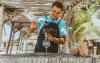 Sir Edmond finds summer success in Croatia