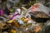 Recycling food waste is good for the climate, but could add microplastics to soil, study finds