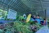 AMMAN promotes school-based waste management in West Sumbawa