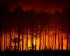 AU expresses solidarity with Spain, France over deadly wildfires