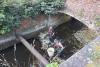 Fish rescue operations as part of Environment Agency action during dry weather