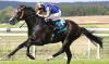 Goodwood Cup: Scandinavia retains Group 1 crown after eventful race