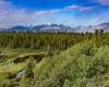 Earth's fastest-warming forests are falling behind in the fight against climate change