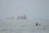 Gulf states back Omani plan for voluntary Iran transit fees in Strait of Hormuz, source