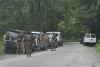 ICE operation denounced in Wilson Creek, a popular recreation area in western North Carolina