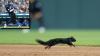 Detroit’s Play-By-Play Announcer Has Hall-Of-Fame Caliber Call Of The Entire Tigers Ground Crew Chasing Down A Squirrel