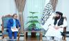 Muttaqi discusses development projects with new UNDP envoy in Afghanistan