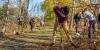 Office of Climate Change Initiatives gets OK for $3.26 million for climate action projects
