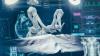 Robotic Microsurgery Emerges as Central Focus in Reconstructive Surgery Research
