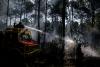 European wildfires likely to increase insurance demand, Swiss Re says
