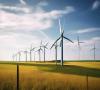 New Zealand Mercury implements a large-scale project in the AI sector