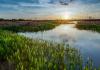 USDA Allocates Millions For Agricultural Wetland Mitigation Banks