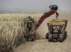 Brazilian sugar spared from additional 12.5% U.S. tariff