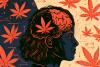 CBD and THC Reduce Dementia Agitation