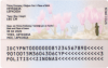 New format Cyprus ID cards to stay