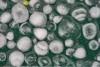 Heavy Rain, Large Hail Possible In Southeast Wyoming