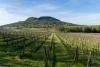 From innovation to gastronomy: why Hungary is having a moment