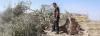 Occupied Palestinian Territory: Escalating settler violence and settlement expansion ahead of Israeli elections