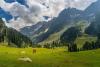 Tourism-Based Employment Opportunities for Youth in Kashmir