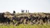 Saudi Arabia: New Executions of Ethiopian Migrants