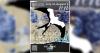 Black Belt Birding Festival brings bird lovers into West Alabama this weekend