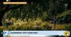 Gardening Tips From Michigan State University
