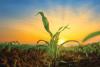 Gardening and farming class takes place on July 29