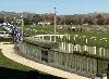 Seven New Zealand Racecourses Face Closure Under Project Stamina Plan