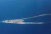 DENR pushes declaration of protected areas in West Philippine Sea