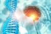 Scientists Study ‘SuperAgers,’ Make Surprising Alzheimer’s Discovery
