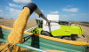 The harvest in Moldova is going well, but slowly