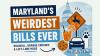 Maryland’s Weirdest Bills: Roadkill, Orange Crushes And Left-Lane Hogs