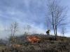 A new climate-resilient, carbon stable forest emerging in Camp Fire burn zone